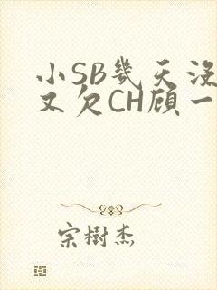 小SB几天没做又欠CH顾一成