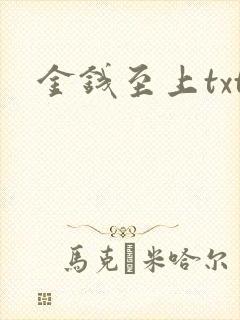 金钱至上txt