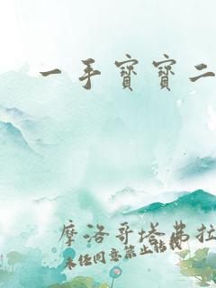 一手宝宝二手妻
