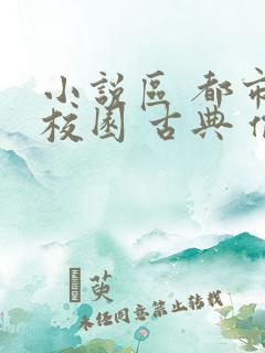 小说区 都市 校园 古典 偷拍