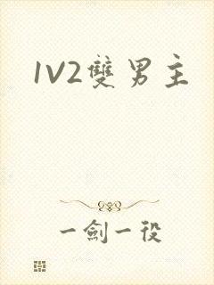 1V2双男主