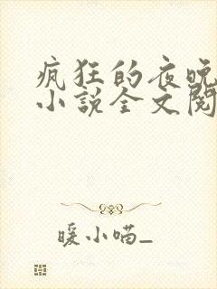 疯狂的夜晚苏柔小说全文阅读