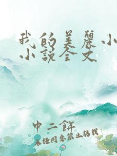 我的美丽小后妈小说全文