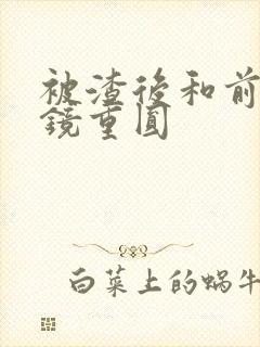 被渣后和前夫破镜重圆