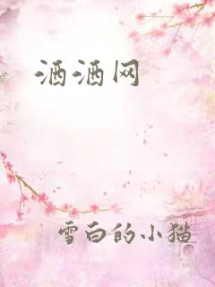 洒洒网