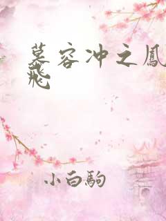 慕容冲之凤凰于飞