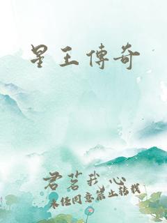 星王传奇