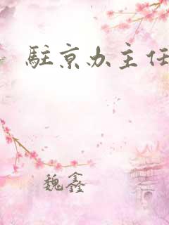 驻京办主任对手