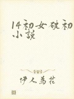 14初女破初的小说