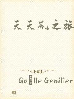 天天风之旅辅助