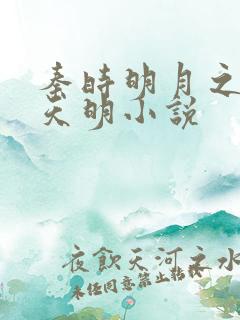 秦时明月之夜尽天明小说