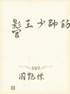 影王少帅的女长官