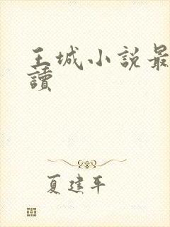 王城小说最近阅读