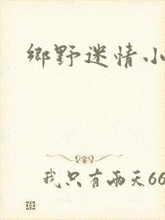 乡野迷情小村医