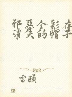 邪恶全彩存在感消失的帽子