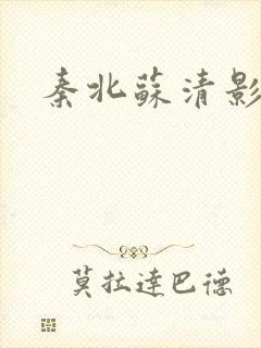 秦北苏清影小说