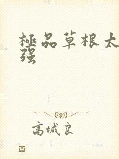 极品草根太子张强