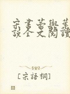 宋书蕾与叶临小说全文阅读