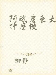 阿斌房东太太是什么梗