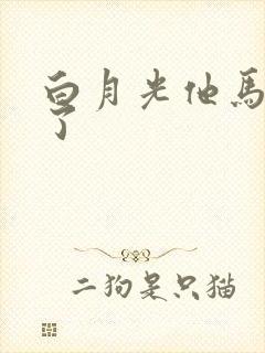 白月光他马甲掉了