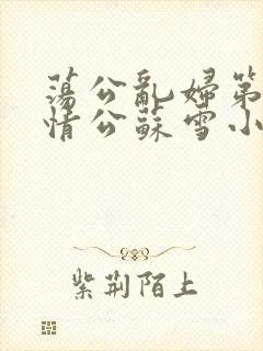 荡公乱妇第1章情公苏雪小说