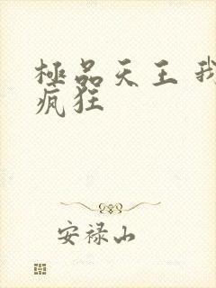 极品天王 我本疯狂