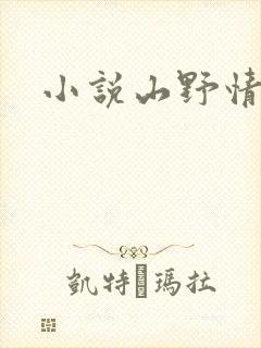 小说山野情债