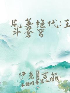 风华绝代:王妃斗苍穹