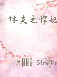 休夫之悍妃当道