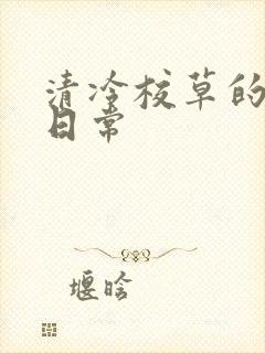 清冷校草的抹布日常