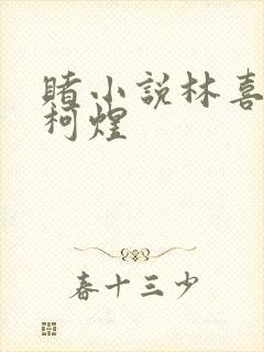 赌小说林喜朝和柯煜