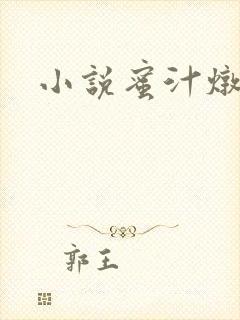 小说蜜汁炖鱿鱼