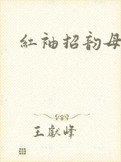 红袖招韵母攻略