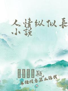 人情纵似长情月小说
