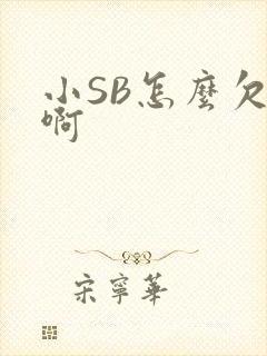 小SB怎么欠C啊