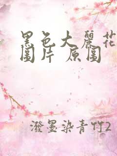 黑色大丽花真实图片 原图