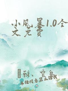 小风暴1.0全文免费