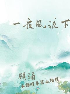一夜风流下载
