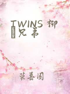TWINS 柳澤兄弟