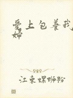 爱上包养我的情妇