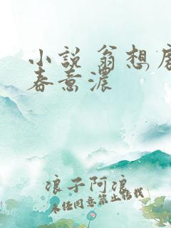 小说 翁想房中春意浓