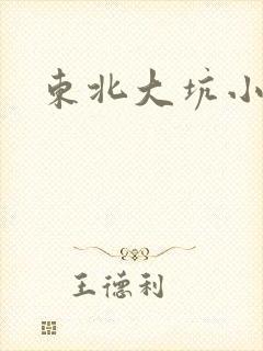 东北大坑小说