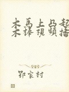 木马上凸起电动木棒视频播放