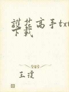 护花高手txt下载