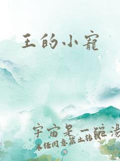 王的小宠