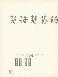 楚洛楚苒的小说