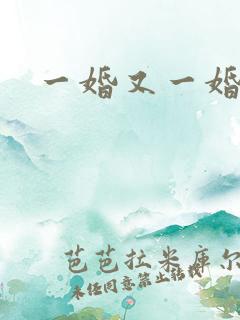 一婚又一婚