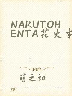 NARUTOHENTA花火本子