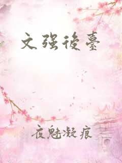 文强后台