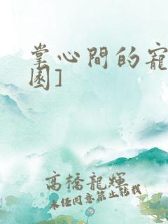 掌心间的宠[校园]